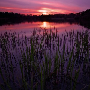 apts denver: sunsetx