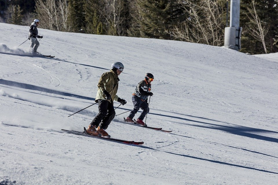 Skiing, Skiers, Downhill, Snow, Run, Winter, Cold, Ski