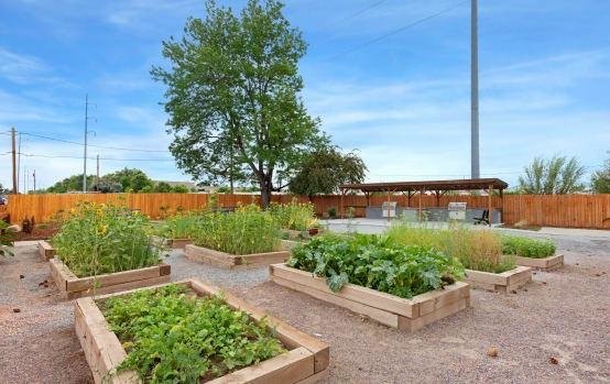 Community Garden | Asbury Plaza
