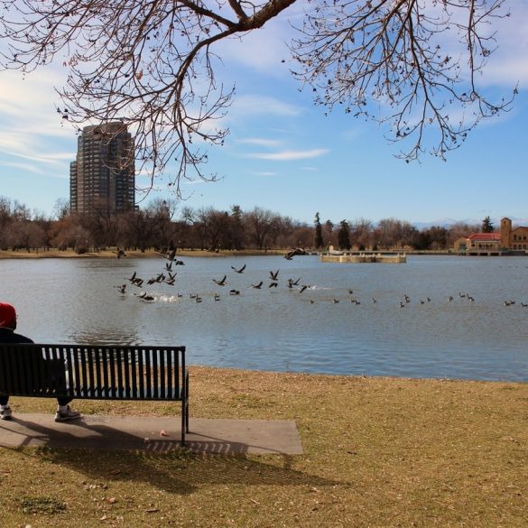 11 Reasons You Should Absolutely Live In Denver Colorado Apts Denver